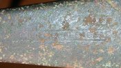 DSCN1680.JPG