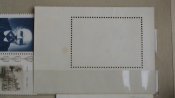 DSC01247.jpg