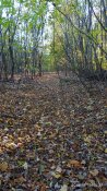 IMG_20191016_155734.jpg