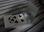 DSC07208.JPG