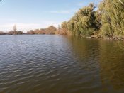 20191014_130651.jpg