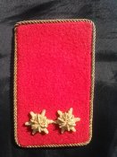 Петлици Австрия