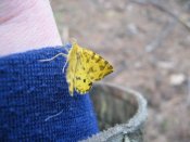 IMG_0022.JPG