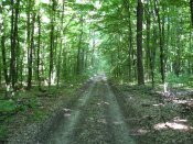 IMG_0039.JPG