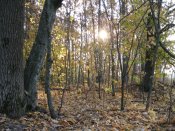 IMG_0054.JPG