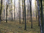 IMG_0058.JPG