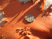 IMG_0064.JPG