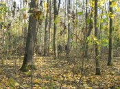 IMG_0066.JPG