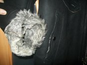 100_2667.jpg