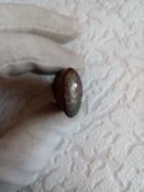 IMG_20191015_092352.jpg