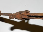 DSCN1498.jpg