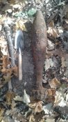 20191021_131351.jpg