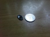 DSC01560.jpg