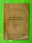 IMGA0354.JPG