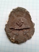 за ранение цынк