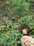 IMG_20191023_154044.jpg