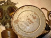 DSC07800.jpg