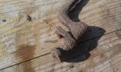 20191016_132521.jpg