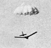 14b.jpg