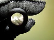 Ствол - болванка Glock 43 (с резьбой)