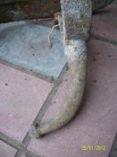 100_4894.jpg