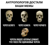 53279170_798197467233322_2467307051961810944_n.png
