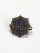 Членский знак Reichsluftschutzbund (RLB)