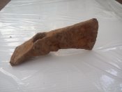20190602_091205.jpg