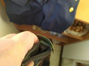 IMG_20191027_153708.jpg