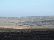 DSCN8399.JPG
