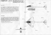 Lippisch Gleiter bomber4.jpg
