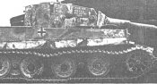 remetiger0001sml.jpg