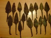 DSC00014.jpg