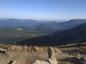 IMG_20191027_141350.jpg