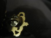 IMG_7359.JPG