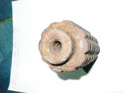 SN850643.jpg