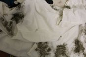 IMG_4240.JPG