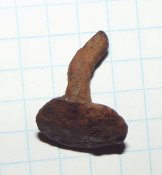 DSCF5409 (Копировать).JPG