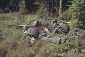 WW2 Swedish.jpg