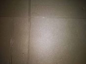 IMG_20190925_105539.jpg