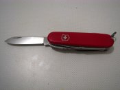 IMG_1950.jpg