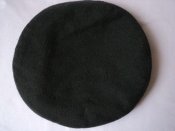 DSC01300.JPG