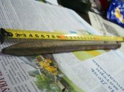 DSC09244.JPG