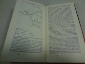 Червонное казачество, Дубинский И.В.,Шевчук Г.М.