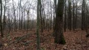 DSC_4124.JPG