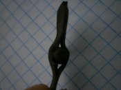 PB103911.JPG