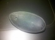 IMG_20121130_162912.jpg