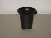 IMG_2361.jpg