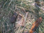 100_2869.jpg
