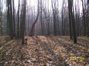 101_6184.JPG